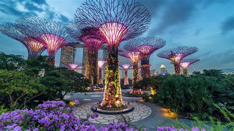 Gardens by the Bay — Park in Singapore: photos, description