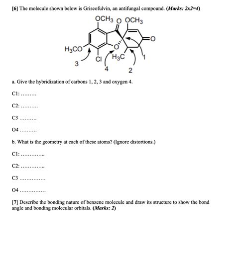 Solved [1] Identify All The Functional Groups In Each Of The