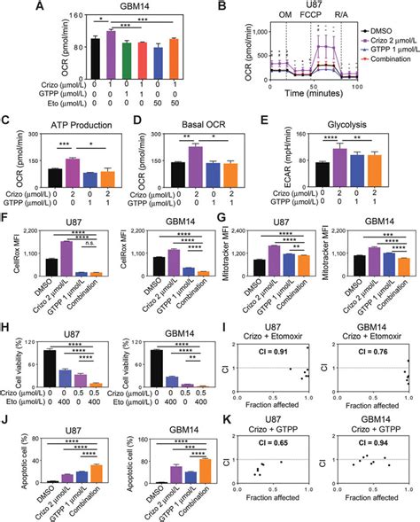 Dual Inhibition Of Cpt1a Or Trap1 And C Met Elicits Synergistic Download Scientific Diagram