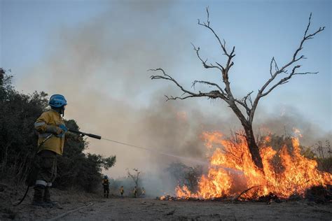 Las 46 Fotos Más Tristes E Impresionantes Del Combate Al Fuego En El