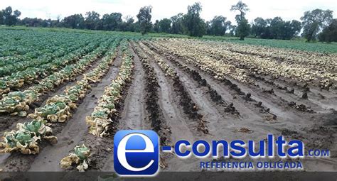 Huachicol ya contamina cultivos y quema a campesinos poblanos Ángulo 7