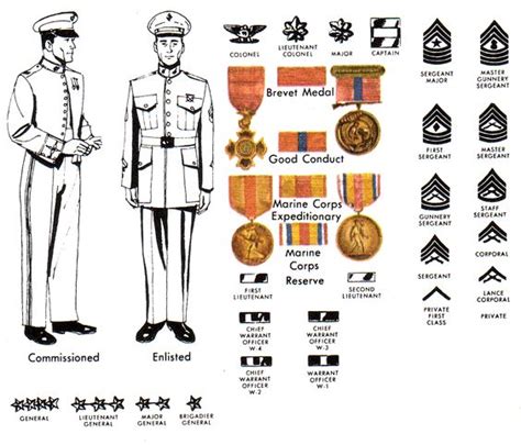 Marine Corps Officer Rank Structure