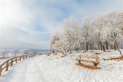 tabizine