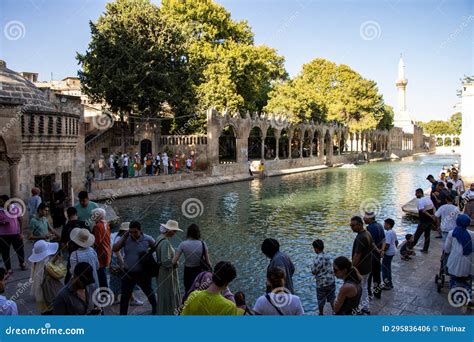 The Lake And The Fish In It Located In The City Center Of Anl Urfa