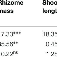 Summary Of Two Way Analysis Of Variance F Values For Shoot Mass Root