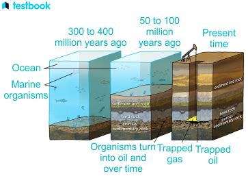 Formation Of Fossil Fuels: Process & Uses of Coal & Petroleum