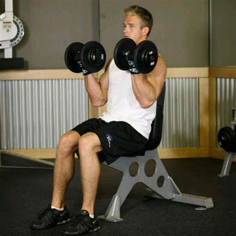 Seated Dumbbell Curl by Silas Eisenback - Exercise How-to - Skimble