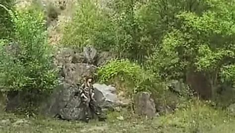 Meri Free Porn Star Videos XHamster