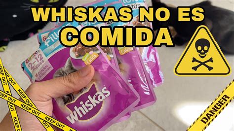 Cuidado Whiskas Es Adictivo Para Los Gatos YouTube