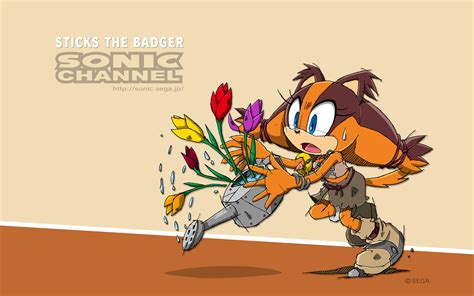 Sticks Wallpaper | Sonic Boom | Know Your Meme