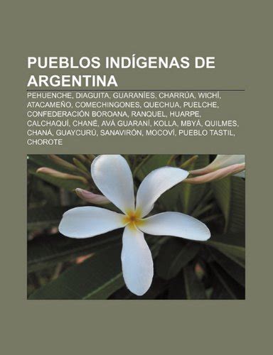 Pueblos Indigenas De Argentina Pehuenche Diaguita Guaranies Charrua