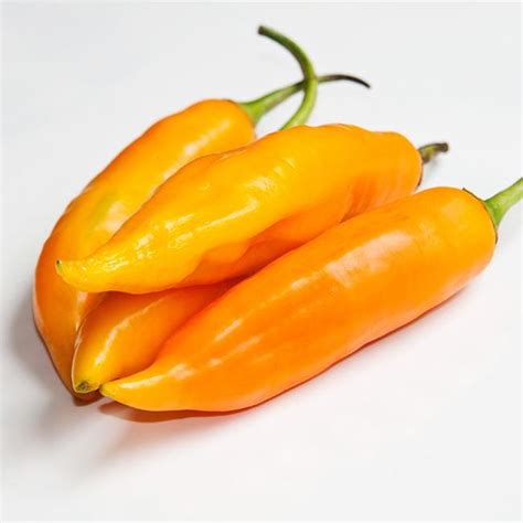 Aji Pepper Seeds - Pepper Joe’s