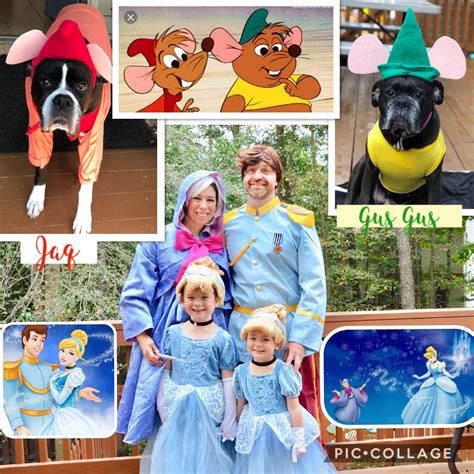 Cinderella Mice Costume