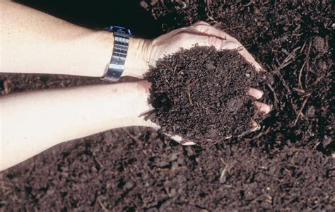 Soil Organic Carbon - AgriMoon