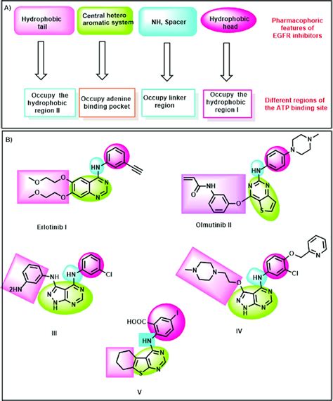 Egfr Inhibitors Pharmacophoric Features Download Scientific Diagram