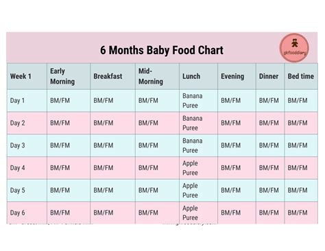 The Best First Foods for Babies (6–12 Months): Nutritious & Tasty