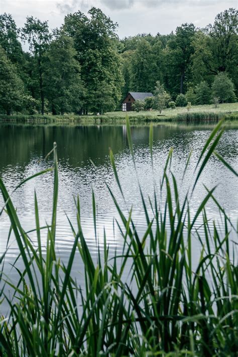 Bukowiec Zwiedzanie Informacje Wypisz Wymaluj Podr