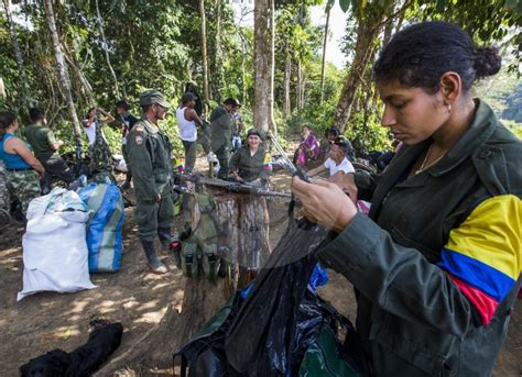 Cinco Desmovilizados Hacen Recomendaciones A Los Guerrilleros Al