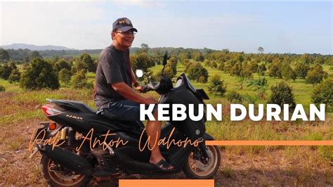 Irjen Pol Purn Drs Anton Wahono PENGGAGAS KEBUN DURIAN DI BANGKA