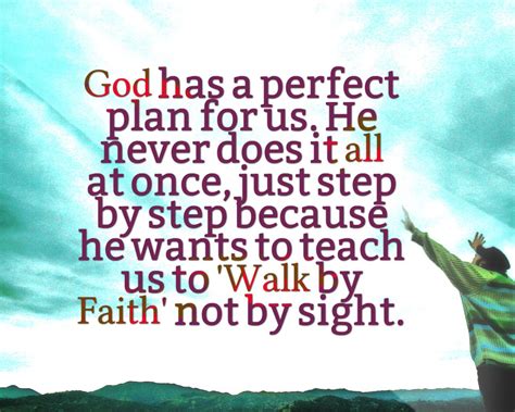 God S Perfect Plan Quotes Shortquotescc