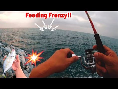 Ep Ml Gamming Relix Jagero Ll Monstero L Feeding Frenzy Sa