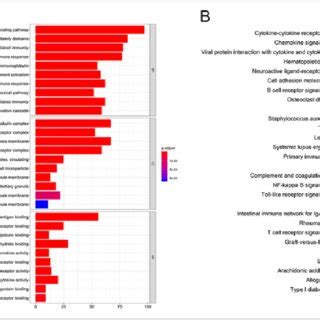 Functional Analyses Of DEGs A The GO Analysis Of DEGs In Three