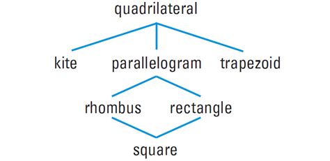 Special Quadrilaterals and Their Properties