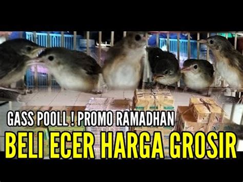 PROMO RAMADHAN BELI ECER HRG GROSIR STOCK FULL 0838 7553 6945 YouTube