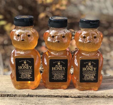 Michigan Wildflower Honey 12oz Bear 3 Pack Hudsonville Honey