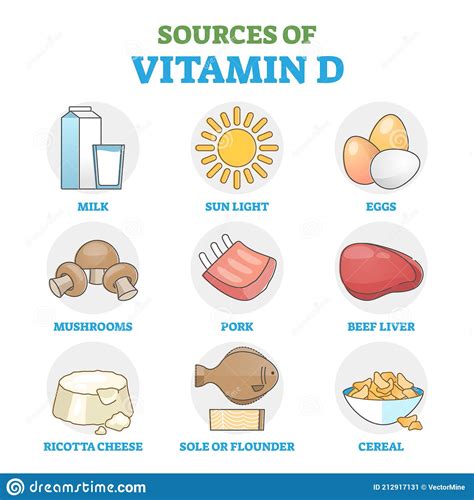 vitamin-d-sources-food-as-healthy-natural-intake-method-outline-diagram ...