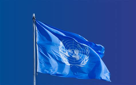 Un Secures Major Victory For Intersex Rights With New Resolutions