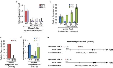 TET1 And TET2 Levels Are Dependent On MYC Expression MYC Inactivation