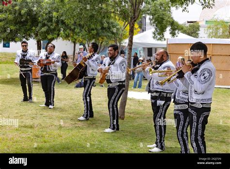 Mexico culture; A Mariachi band - a traditional Mexican music group ...