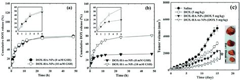 In Vitro Release Behavior Of DOX From HA Nanoparticles In The Presence