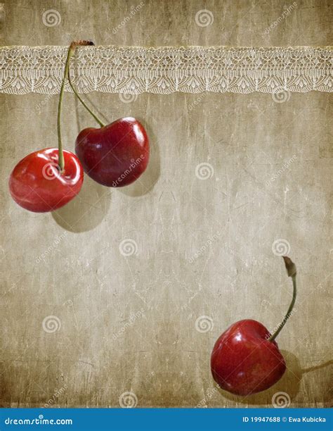 Three Cherry And Lace Stock Photo Image Of Beauty Vintage 19947688