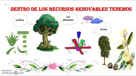 Recursos Renovables Y Recursos No Renovables Youtube