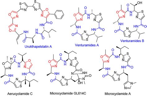 Frontiers Isocyanide Reactions Toward The Synthesis Of 3 Oxazol 5 Yl