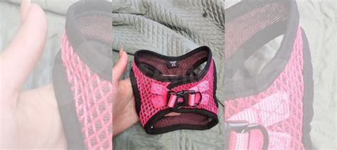 Шлейка triol, xs купить в Санкт-Петербурге | Животные и зоотовары | Авито