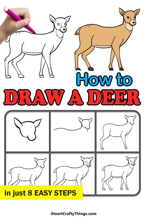 Deer Drawing How To Draw A Deer Step By Step