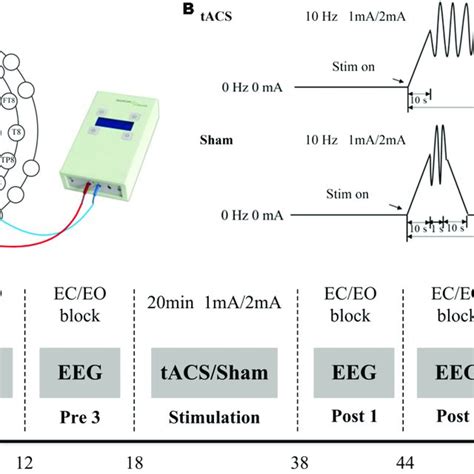 Experimental Design A The Positions Of The Stimulating Electrodes Download Scientific