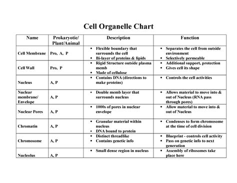 Cell Organelle Research Worksheet Answers Worksheet Information