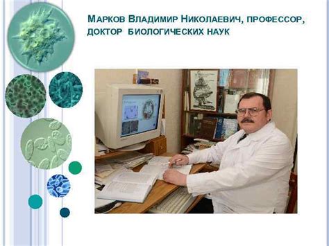ИСТОРИЯ РАЗВИТИЯ МИКРОБИОЛОГИИ МОРФОЛОГИЯ И КЛАССИФИКАЦИЯ МИКРООРГАНИЗМОВ