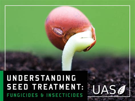 Seed Treatment What Are Fungicides And Insecticides Unified Ag