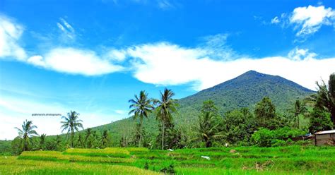 Lukisan Alam Gambar Pemandangan Gunung Pemandangan Lukisan Tepi Paysage