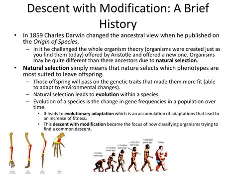 PPT - Descent with Modification: A Brief History PowerPoint ...