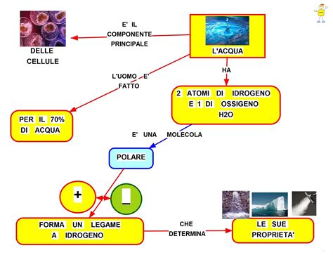 Mappe Concettuali Mat Scienze