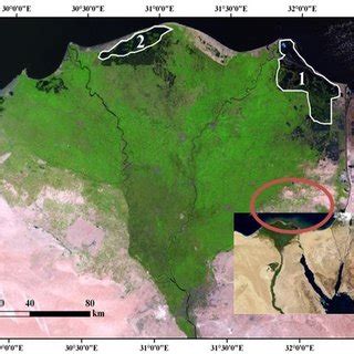 False Color Composites Of The Lake Manzala Showing The Water Body In