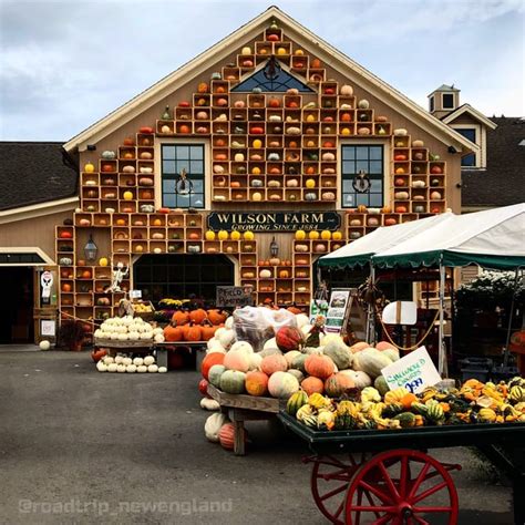 Wilson Farms in Lexington (MA) decorated for the season : r/AutumnPorn