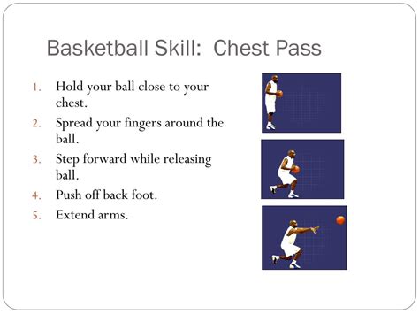 Ppt Hscii Basketball Study Guide Powerpoint Presentation Free