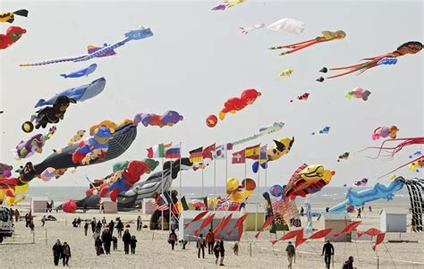 Comment Berck Sur Mer Est Devenue La Mecque Du Cerf Volant France